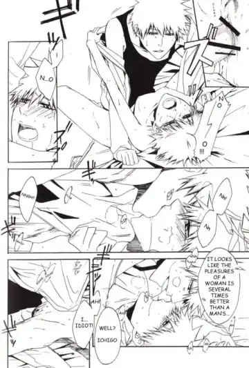 [Rioka Masaki] GYOHKOH (Masaki Rioka) payback (Bleach)english ankichan Fhentai - Page 20