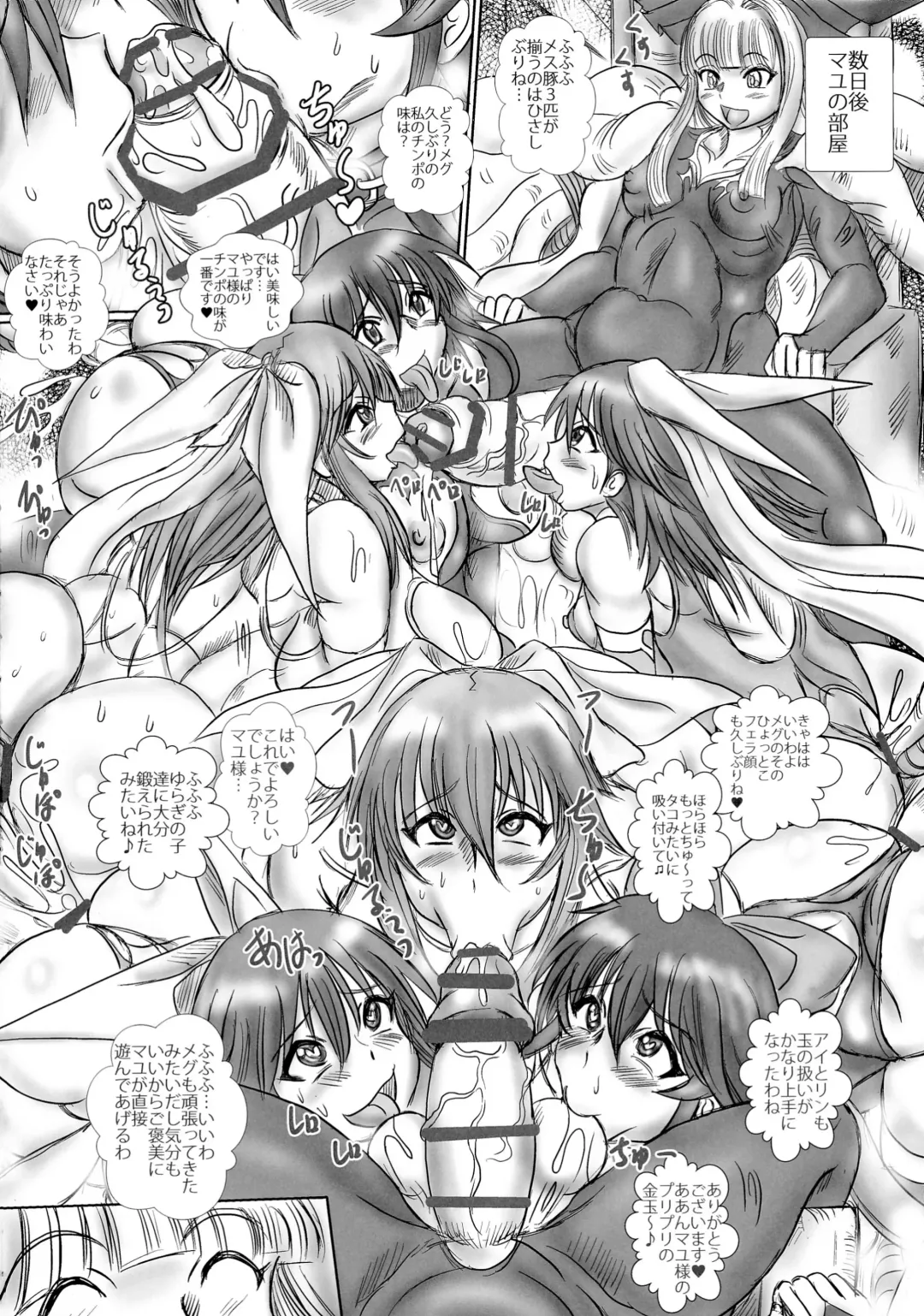 [Chan Shin Han] Hentai Mahou Shoujo Futanari Kaizou Niku Benki Ai Fhentai - Page 12