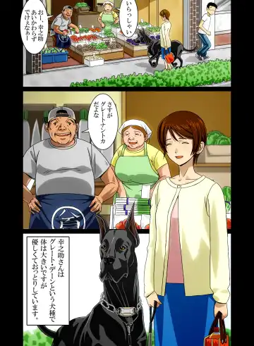"Wonderful Life" ~Shufu to "Aiken" no Hisoyaka na Gogo~ Fhentai - Page 12