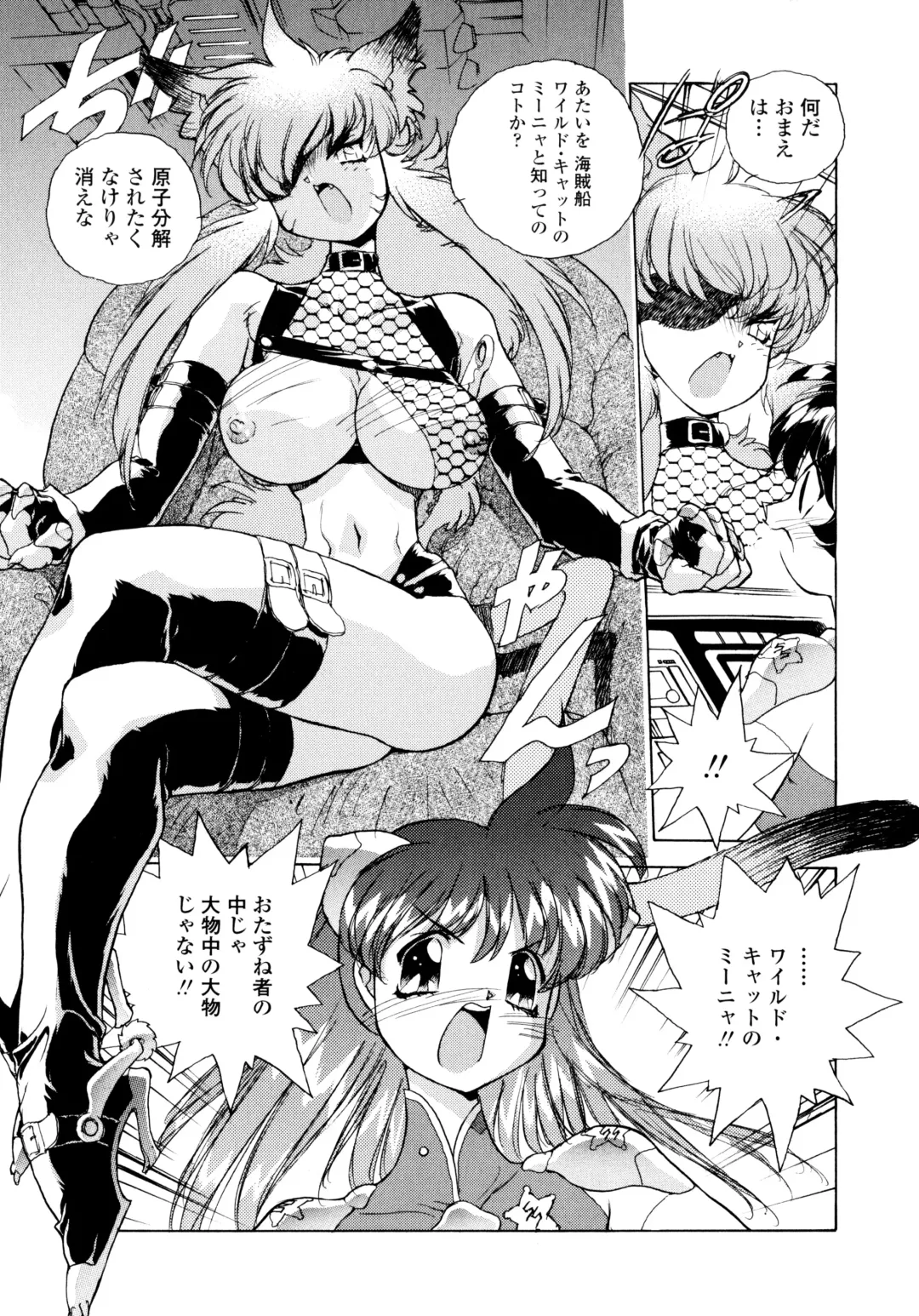 [Hariken Hanna] Wildcat Pirates! Fhentai - Page 10