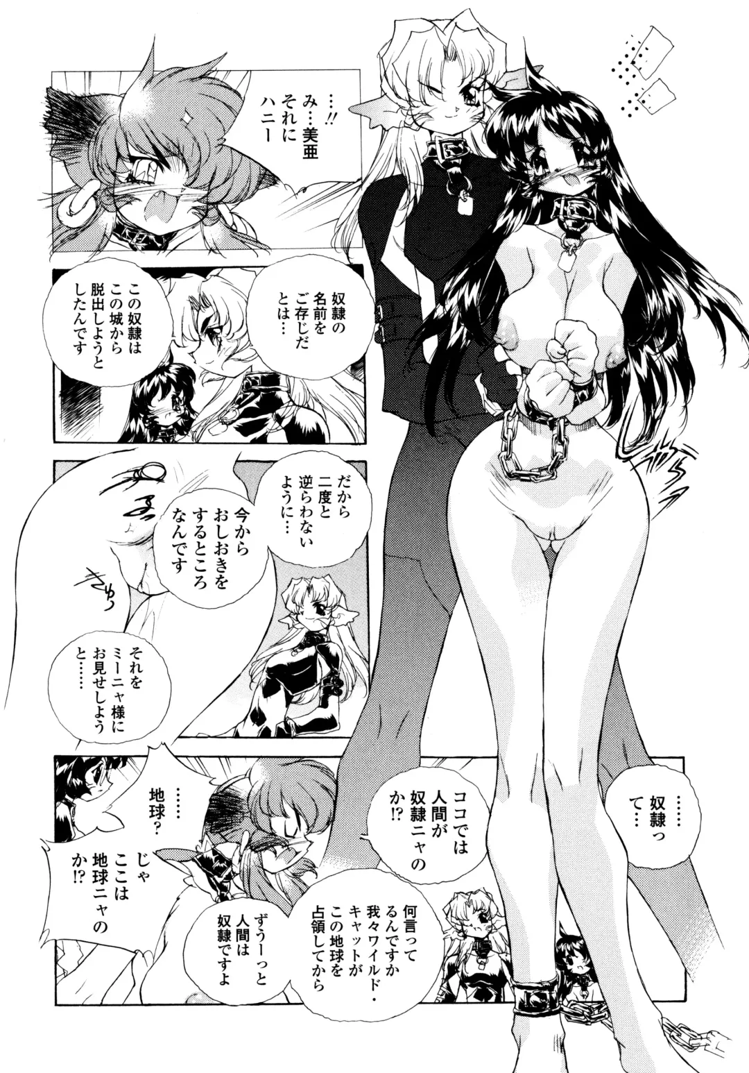 [Hariken Hanna] Wildcat Pirates! Fhentai - Page 168