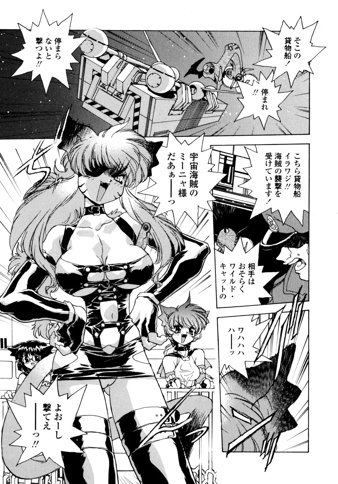 [Hariken Hanna] Wildcat Pirates! Fhentai - Page 22