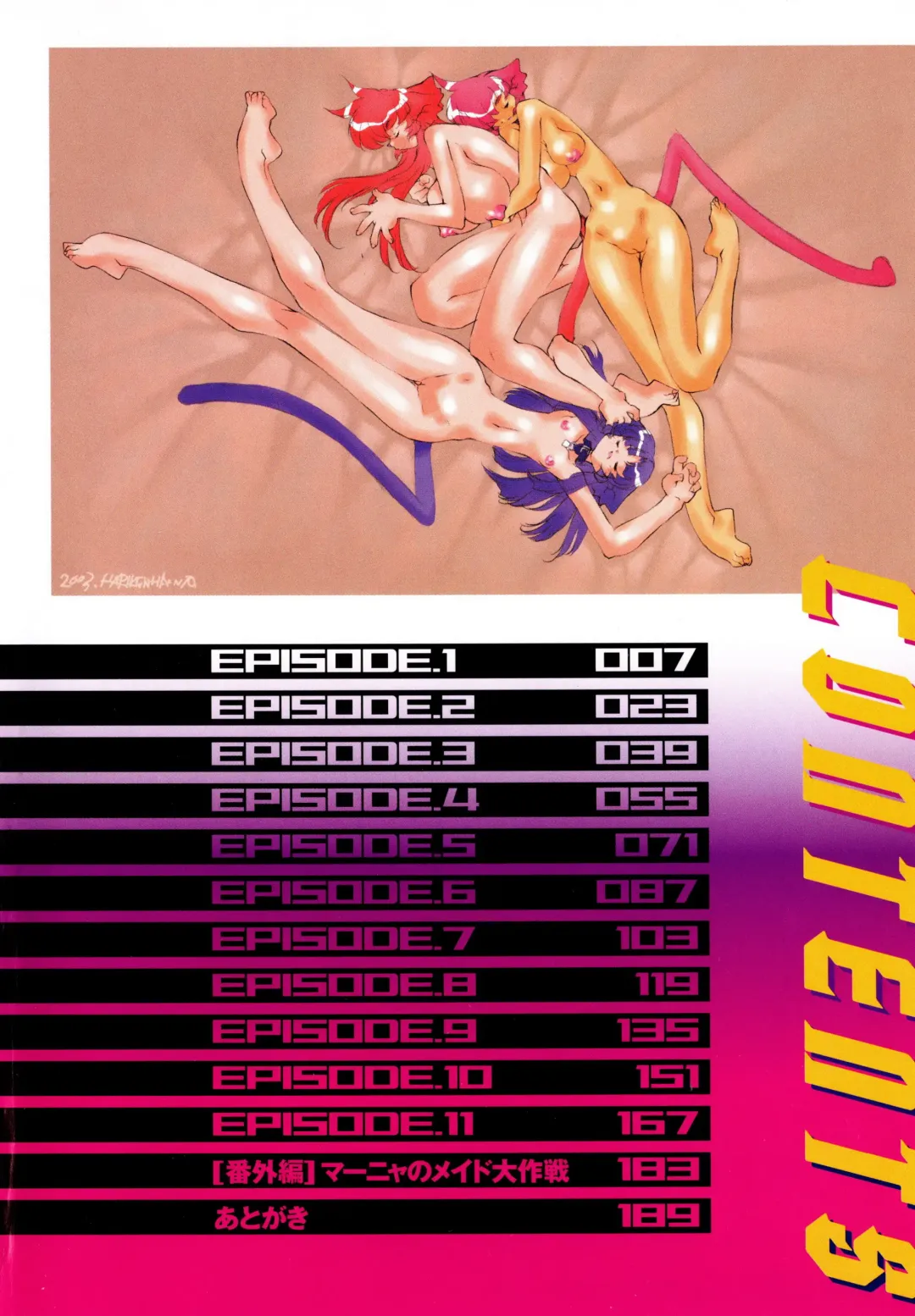 [Hariken Hanna] Wildcat Pirates! Fhentai - Page 5