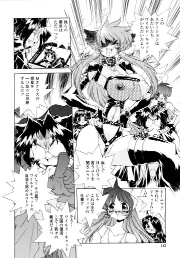 [Hariken Hanna] Wildcat Pirates! Fhentai - Page 141