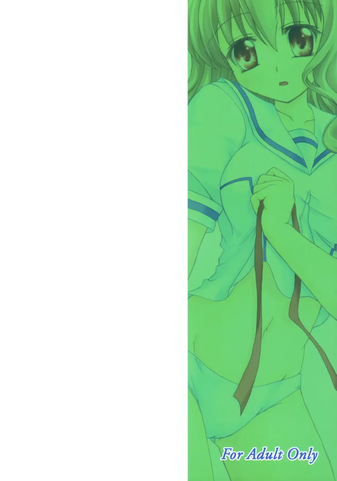 [Kirisawa Tokito] Shiawase no Mahoutsukai Fhentai - Page 28