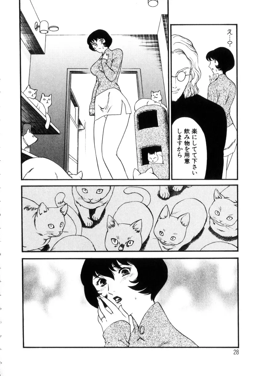 [Akiyama Michio - Fujii Akiko] Hitozuma Moyou 4 Yogarizuma Fhentai - Page 29