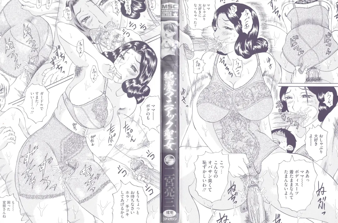 [Ninomiya Ryouzou] Junketsu Maniac Seijo Fhentai - Page 3