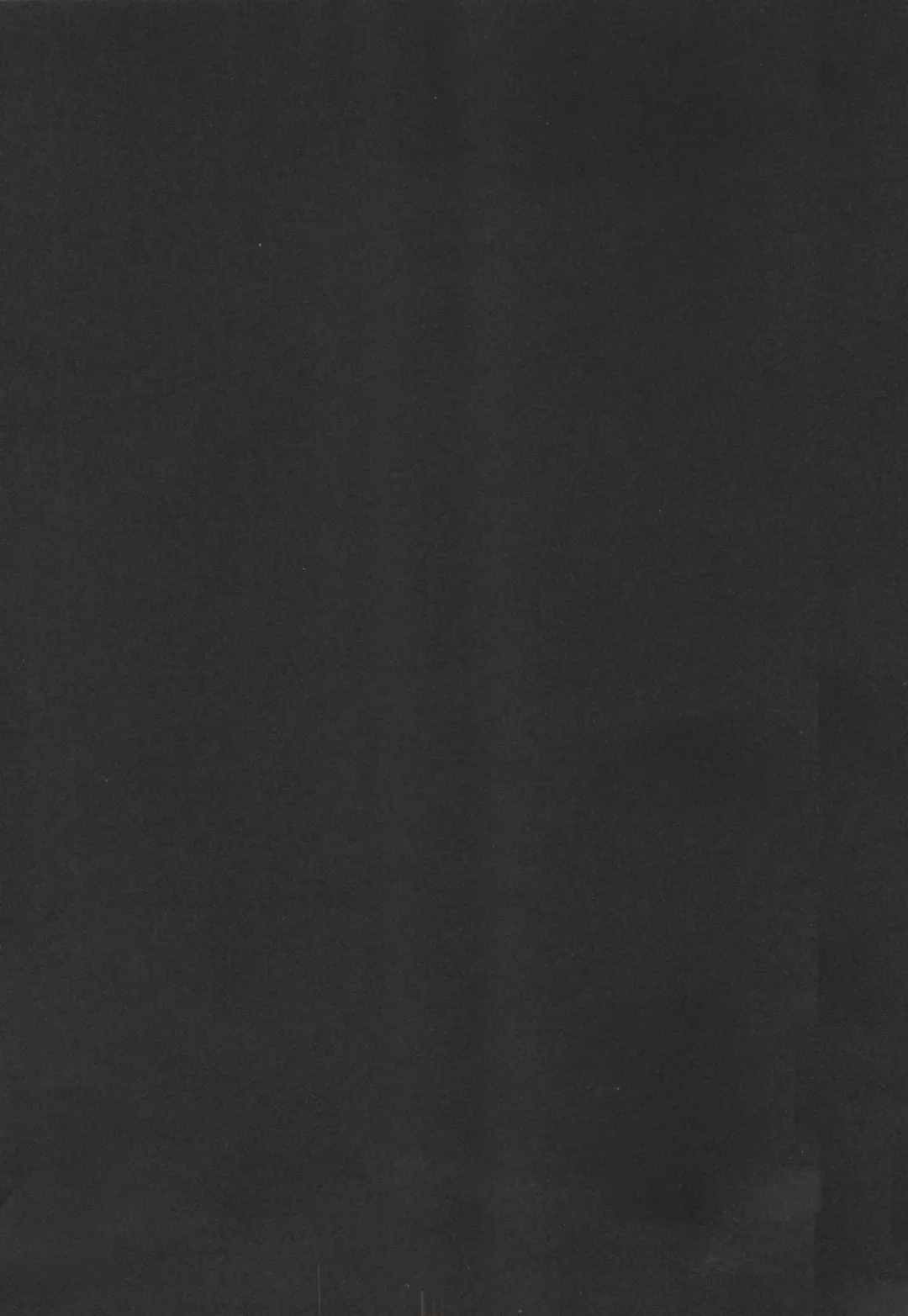 [Ninomiya Ryouzou] Junketsu Maniac Seijo Fhentai - Page 4