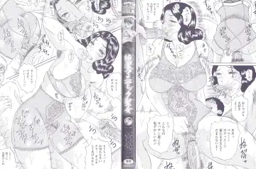 [Ninomiya Ryouzou] Junketsu Maniac Seijo Fhentai - Page 3