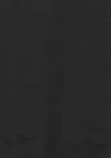 [Ninomiya Ryouzou] Junketsu Maniac Seijo Fhentai - Page 5