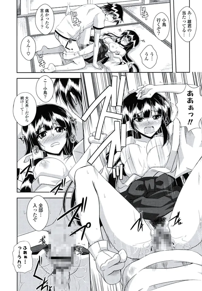 [Nikusoukyuu] Kinai Otome Fhentai - Page 77