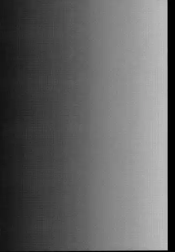 [Tachikawa Negoro] sideMess Fhentai - Page 4