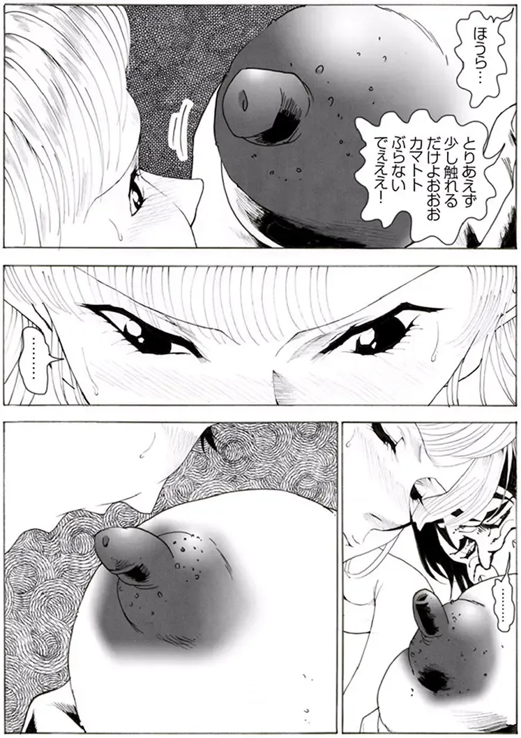 CORRUPT&ROTTEN Cutey Liddy no Funiku no Andouille "Sono ichi" Fhentai - Page 33