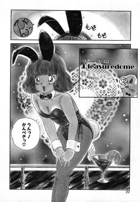 [The Amanoja9] Pretty Fetishism Fhentai - Page 24