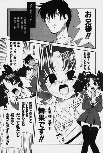 [Nekogen] Nisemon Fhentai - Page 28