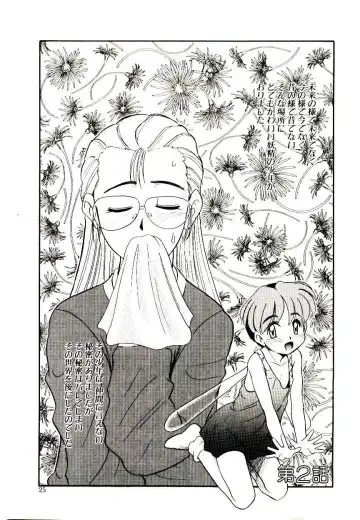 [Nekogen] Toshokan no Yousei Fhentai - Page 25