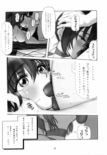 [Ebina Souichi] Kasumi Hard Love 2 ver. 1 Fhentai - Page 16