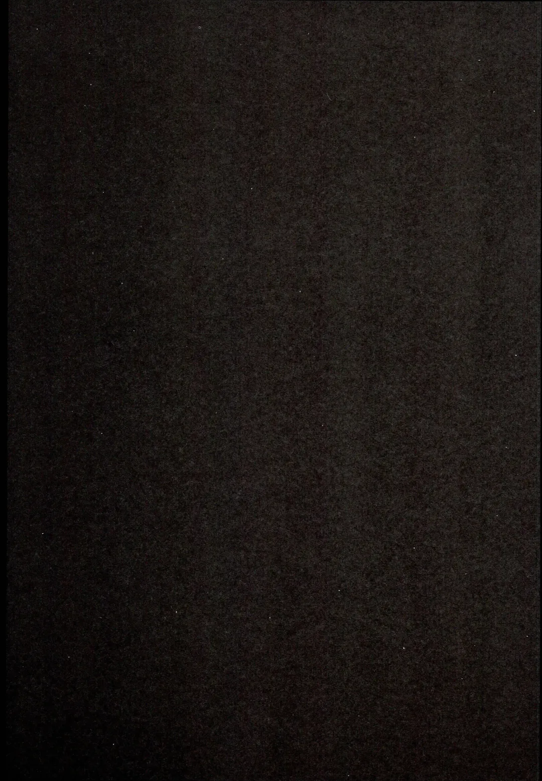 [Ichiri] LIbeccio to Shinkon Seikatsu Fhentai - Page 23