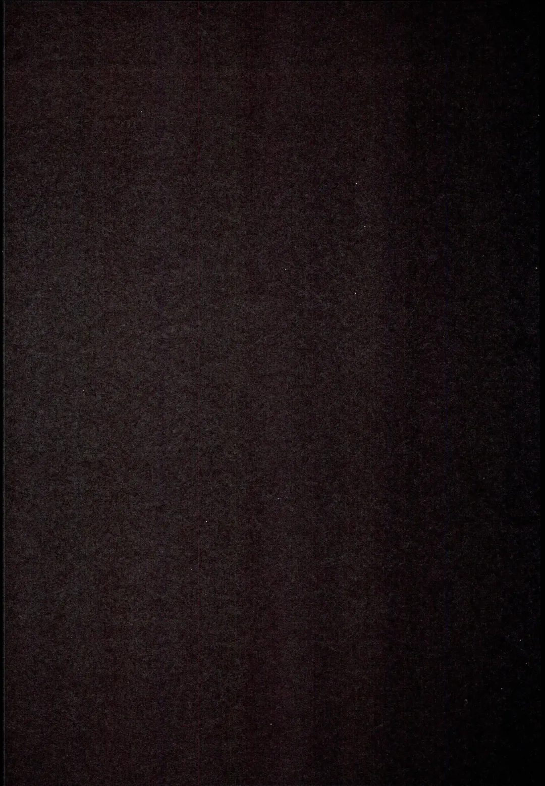 [Ichiri] LIbeccio to Shinkon Seikatsu Fhentai - Page 4