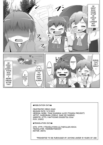 [Haiiroguma] Yokkyuu Fuman na Cirno-chan Fhentai.net - Page 17