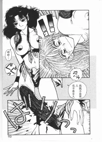 [Yui Toshiki] Princess Quest Saga Fhentai.net - Page 110