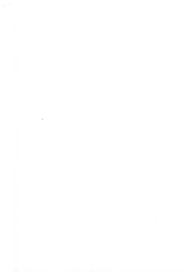 [Wasshi] Kono Ato Muchakucha ... Fhentai - Page 34