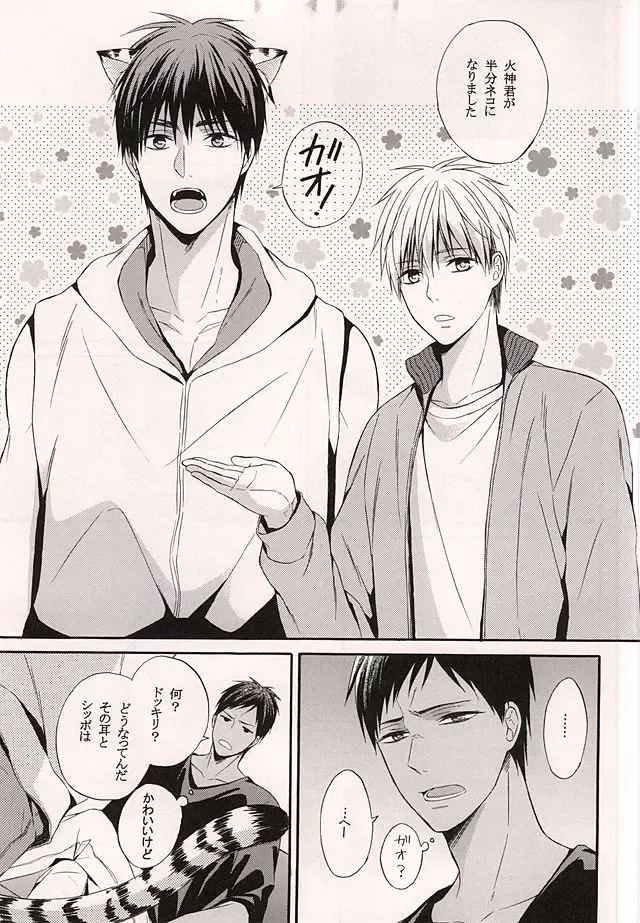 [Hoshino Rumia] Ore no Kagami ga Konna ni Kawaii Wake ga Nai Fhentai - Page 2