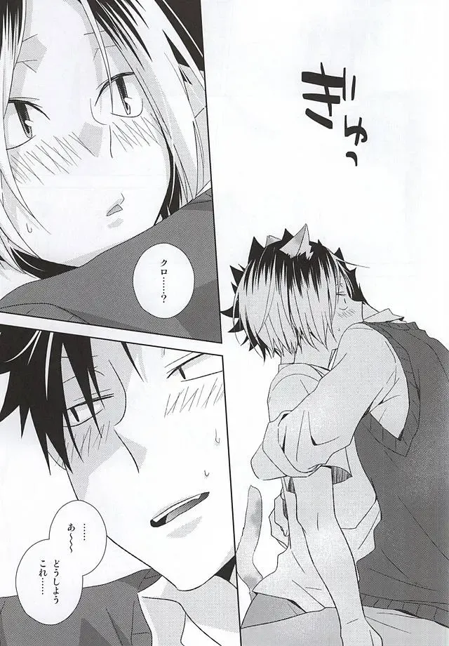 [Tomoharu] Neko Otoko Ichizoku no Koubi Report Fhentai - Page 26