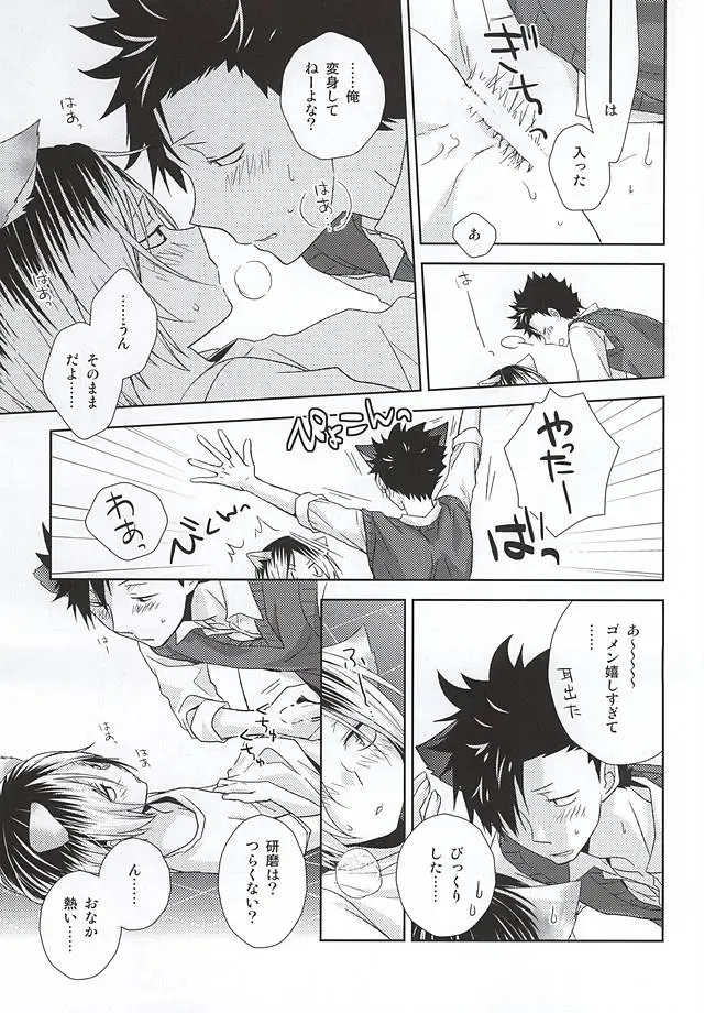[Tomoharu] Neko Otoko Ichizoku no Koubi Report Fhentai - Page 34