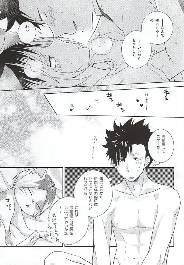 [Tomoharu] Neko Otoko Ichizoku no Koubi Report Fhentai - Page 40