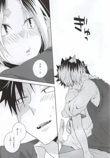 [Tomoharu] Neko Otoko Ichizoku no Koubi Report Fhentai - Page 26