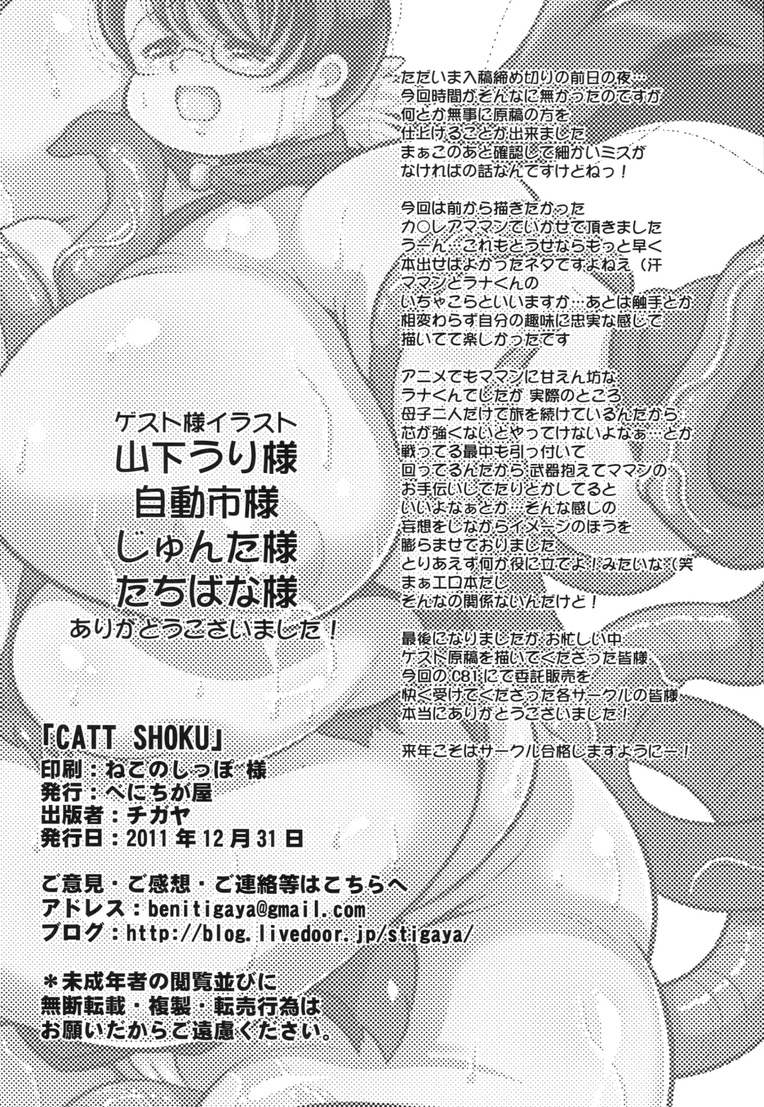 [Stigaya] Catt Shoku Fhentai - Page 25