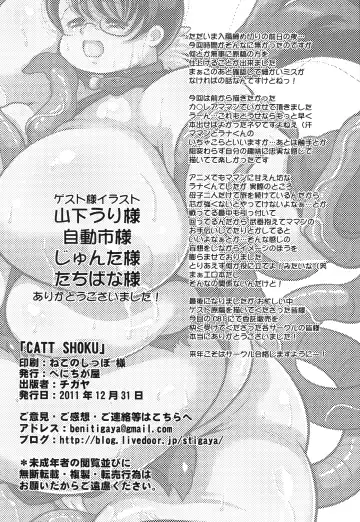 [Stigaya] Catt Shoku Fhentai - Page 25