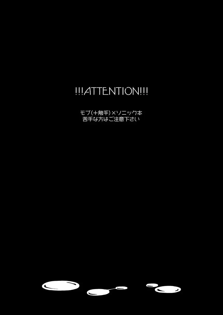 [Hashi] SoniKan Fhentai - Page 3