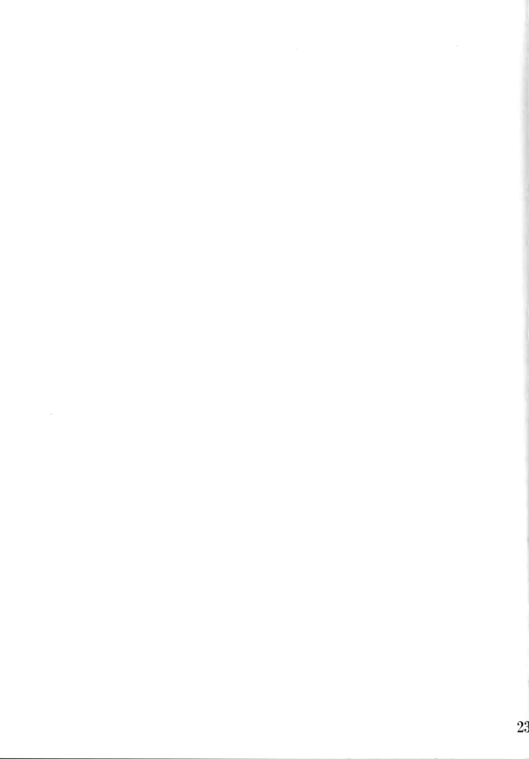 [Washizuka Sho] Bitch Serena no DreDre Power | Bitch Serena's DreamDream Power Fhentai - Page 22