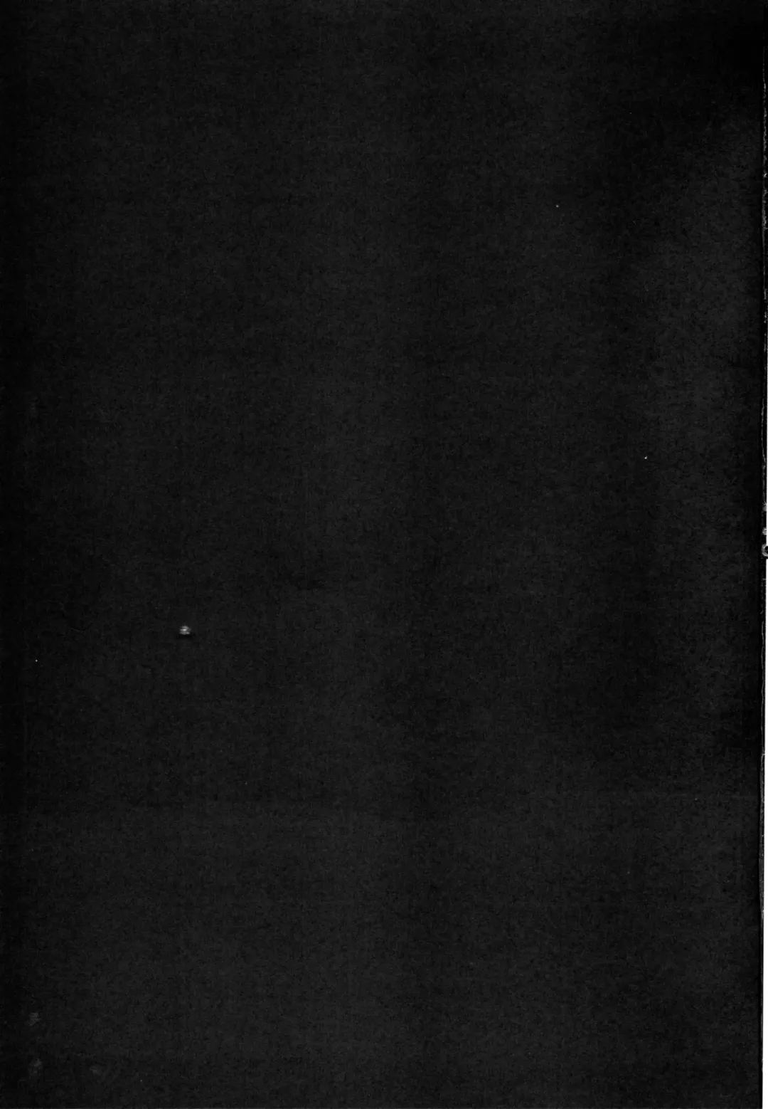 [Rit.] MIRROR, MIRROR Fhentai - Page 3