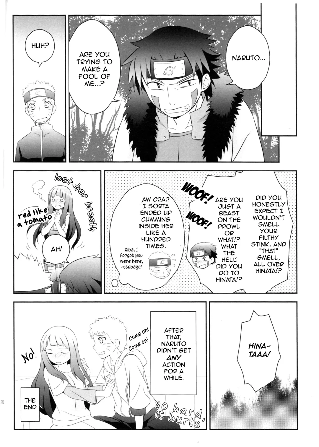 [Ibn] Ametrine Fhentai - Page 16