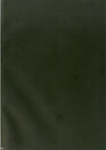 [Mutou Mato] Usa Work vol. 03 Fhentai - Page 3