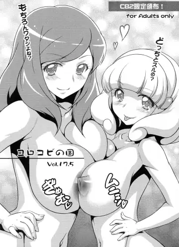 Read [Joy Ride] Yorokobi no Kuni Vol. 17.5 - Fhentai.net