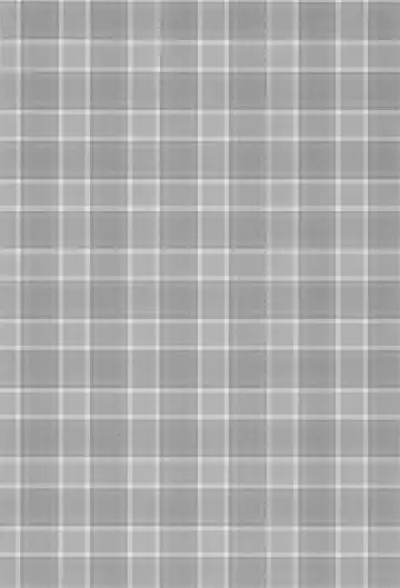 [Homu] Toaru Misaki no Delusion Fhentai - Page 4