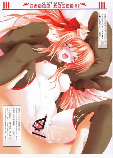 [Kazami Rei] Moe Touhou Gensoukyou Touhou Shunjuu Sei Fhentai - Page 11