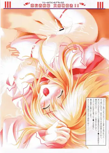 [Kazami Rei] Moe Touhou Gensoukyou Touhou Shunjuu Sei Fhentai - Page 12