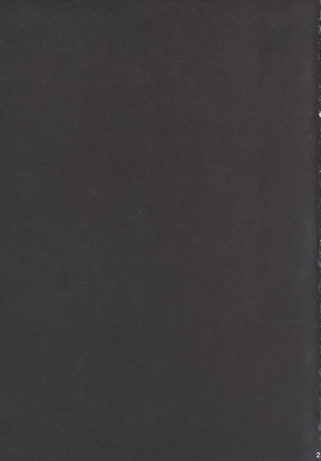 [Ogadenmon] Kashima to Futari de Ou-sama Game Fhentai - Page 24