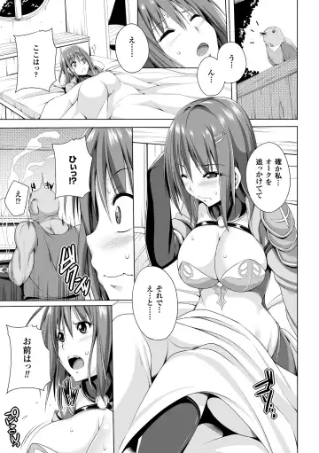 2D Comic Magazine Orc no Tame no Onna Kishi Taisaku Manual Vol. 1 Fhentai - Page 29