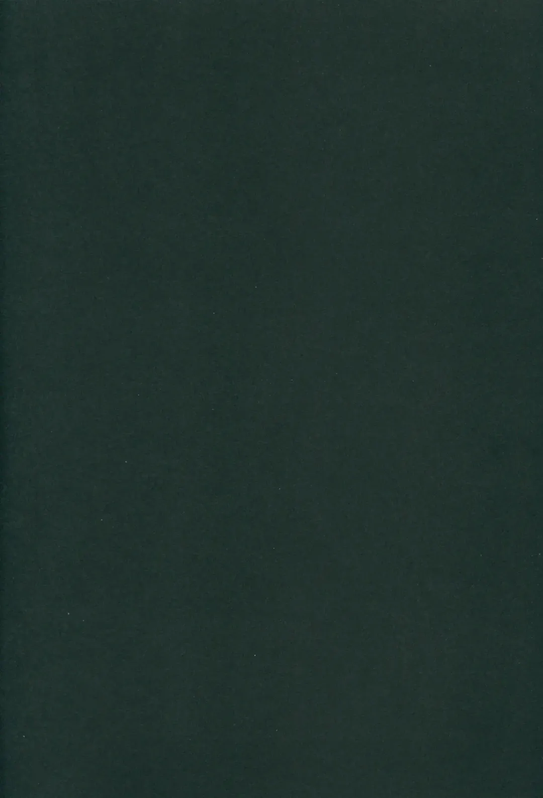 [Hirno] Yamitsuki Patel Fhentai - Page 3