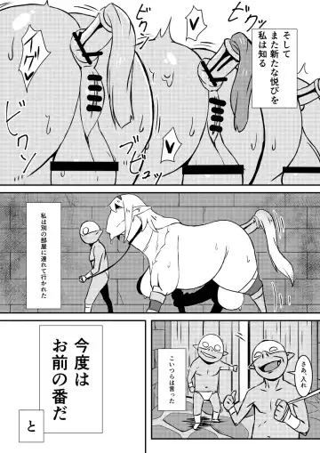 [Nikujiruc] Queen's Stallion Fhentai - Page 18