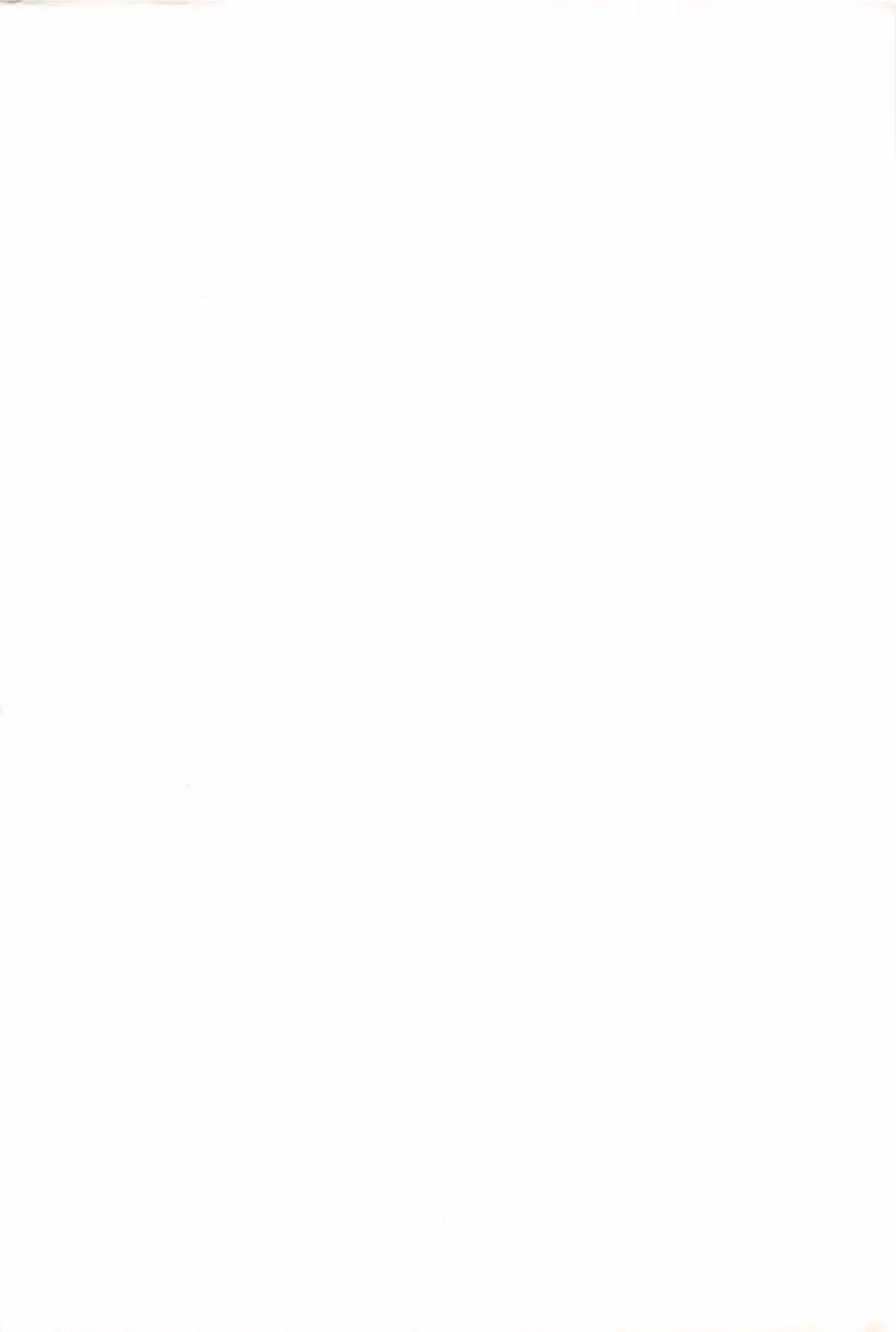 [Akagi Shinden] Ayakashi Awawa Fhentai - Page 2