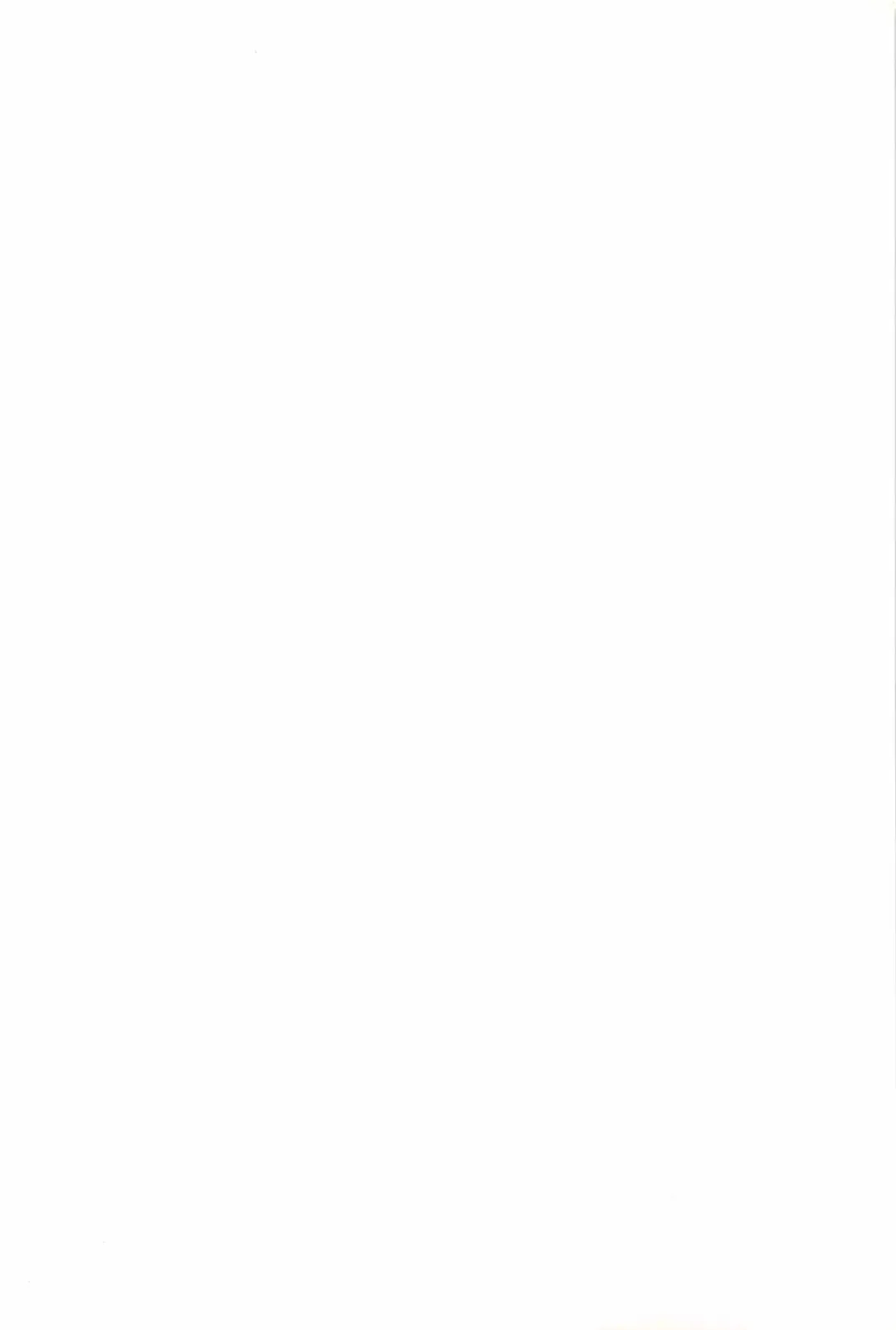 [Akagi Shinden] Ayakashi Awawa Fhentai - Page 4