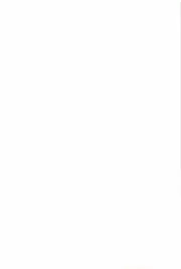 [Akagi Shinden] Ayakashi Awawa Fhentai - Page 4