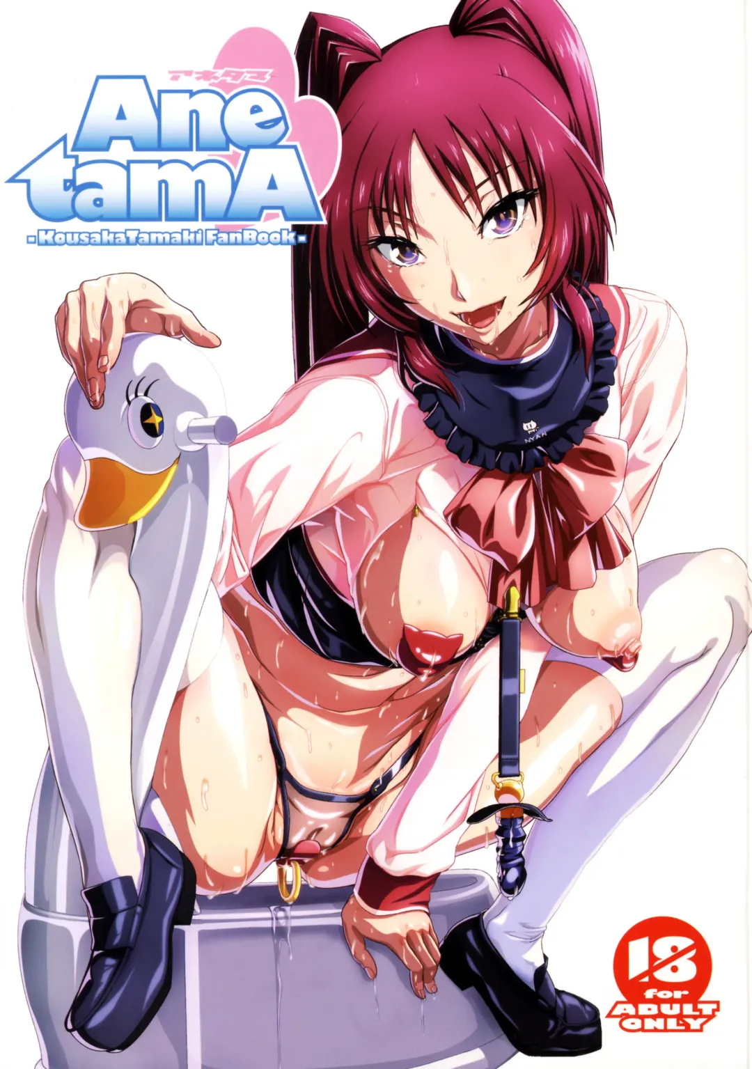 Read Ane tamA -Kousaka Tamaki Funbook- - Fhentai.net